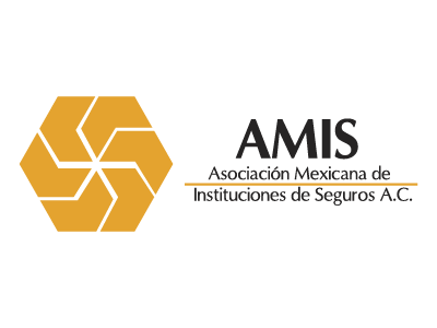 ap_graf_pweb_mgs_2024_logo_amis