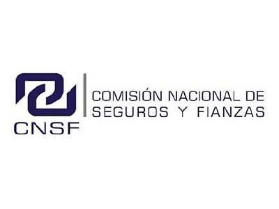 ap_graf_pweb_mgs_2024_logo_cnsf