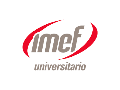 ap_graf_pweb_mgs_2024_logo_imef